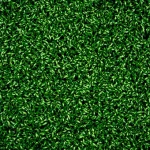 Field Green